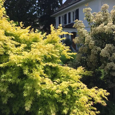 Gaestehaus Am Weiher *