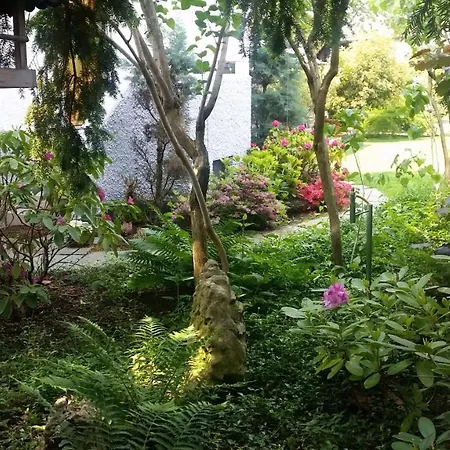 Homestay Gaestehaus Am Weiher *