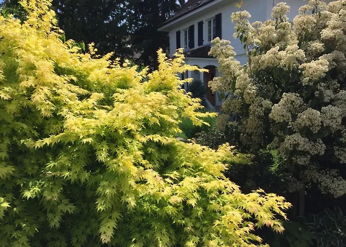 Gaestehaus Am Weiher *